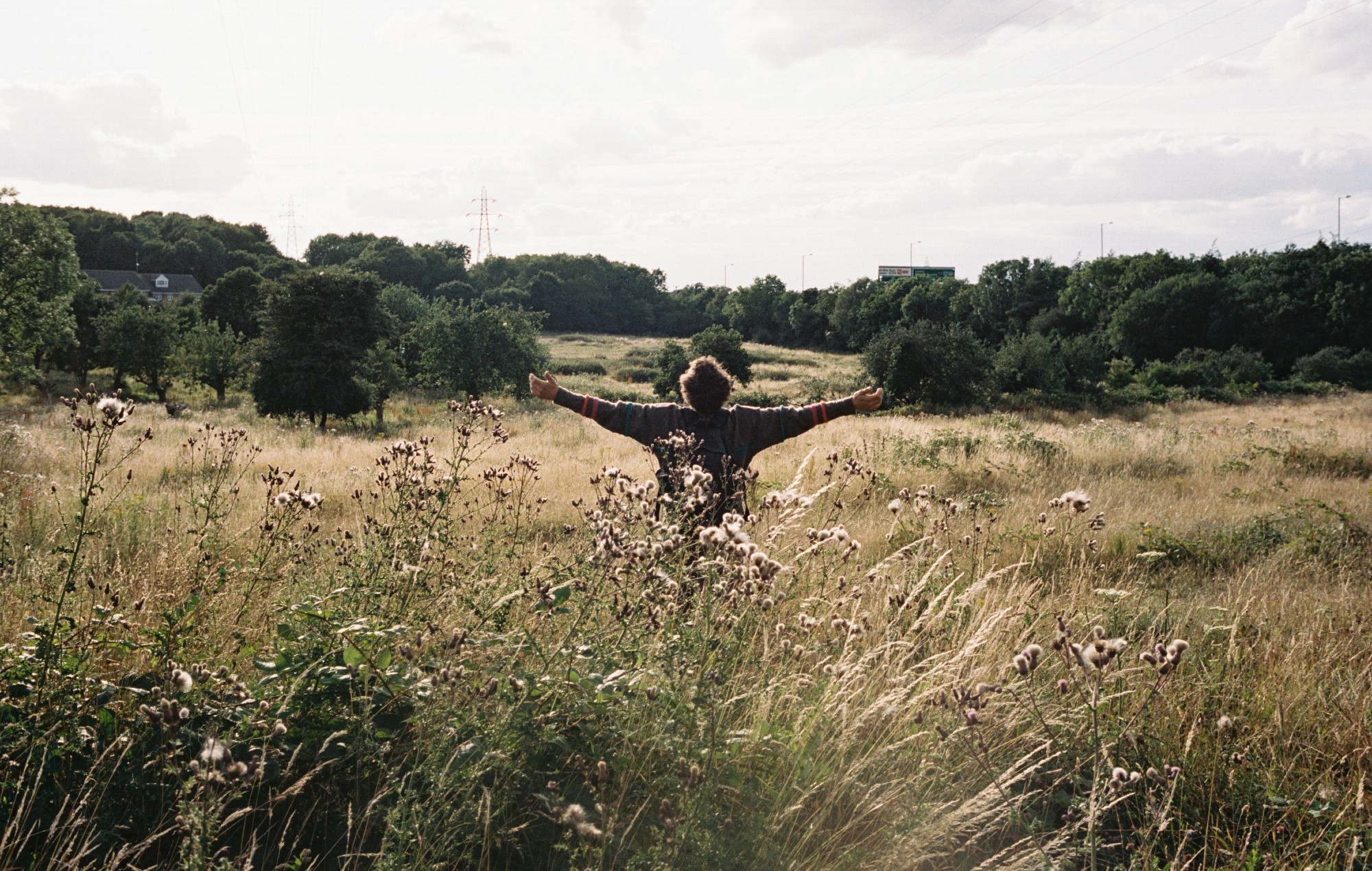 A still from 'Bird'.